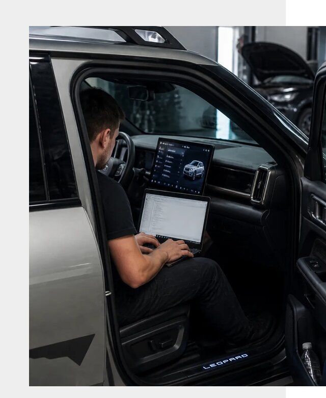 Русификация BYD Leopard 3 в Полысаеве по цене от 20463 р. | ФастМобиль-Плс